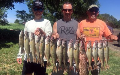 Excellent Catch on Lake Oahe
