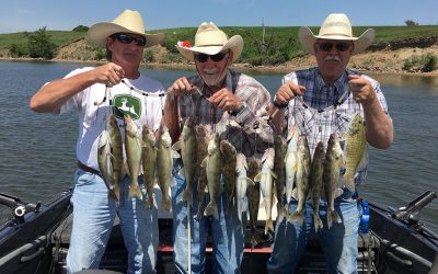 Great Day on Lake Sharpe