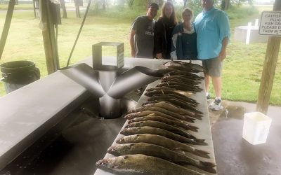 Limits In-between Summer Storms