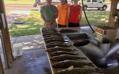 Happy 4th of July Weekend Everyone!