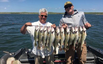 Colorado Anglers Strike Gold in Lake Oahe