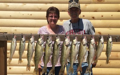 Nice Walleye for Mankato, Minnesota Couple