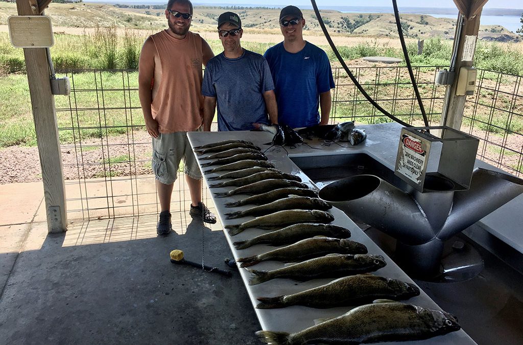 Lake Oahe Walleye for Rapid City Family