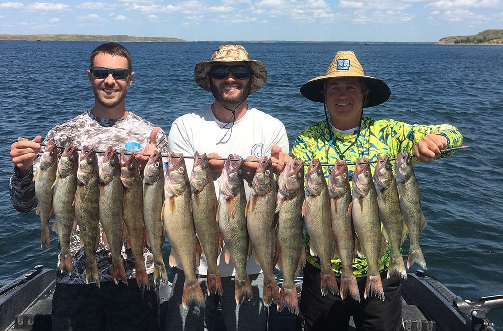 Nice Weather – Nice Fish