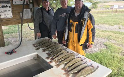 Good Bite Despite Cold Weather