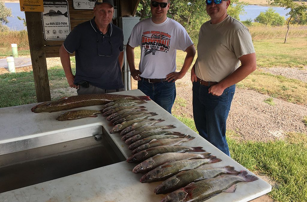 Back in the Cheyenne