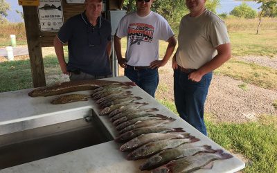 Back in the Cheyenne