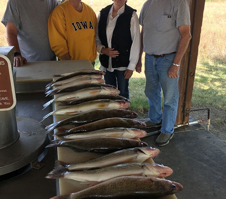 Lake Sharpe Shallow Bite