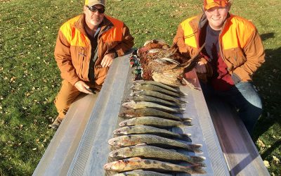 November Blast and Cast