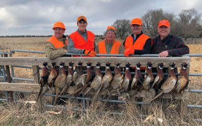 Excellent hunting this year