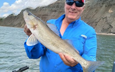 The walleye bite is heating up.