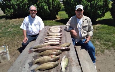 Pueblo Colorado Group
