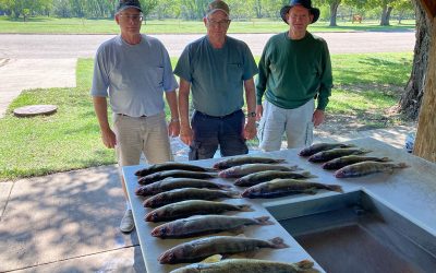 Steve Johnston group Eldridge IA