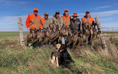 Great hunting this season! Bird numbers are up.