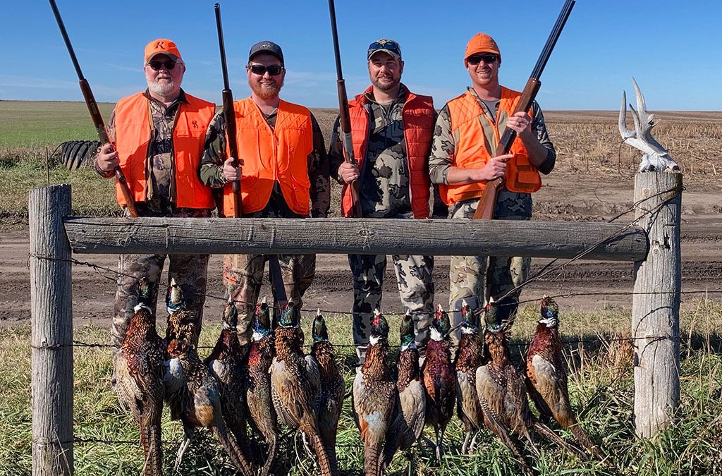 Michigan Foursome Hunting South Dakota Roosters.