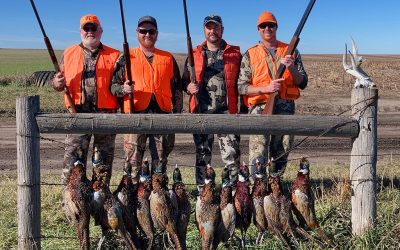 Michigan Foursome Hunting South Dakota Roosters.