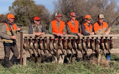 Paragould Arkansas Group