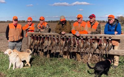 Minnesota seasoned hunters and their labs enjoy Spaid Farms.
