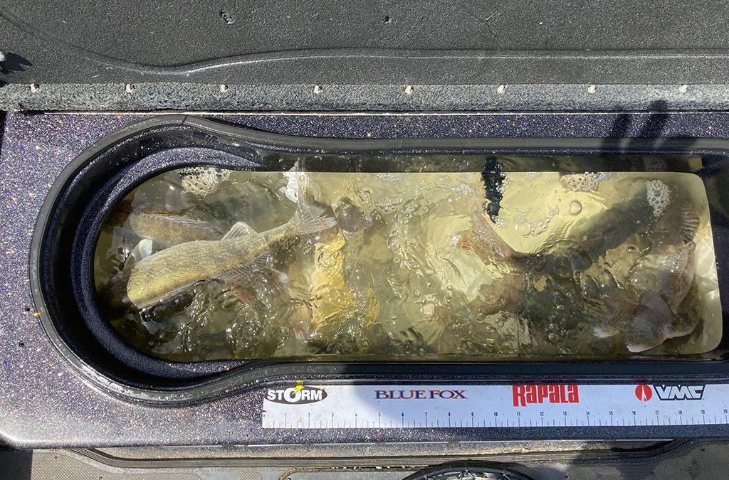 Bringing Home Limits