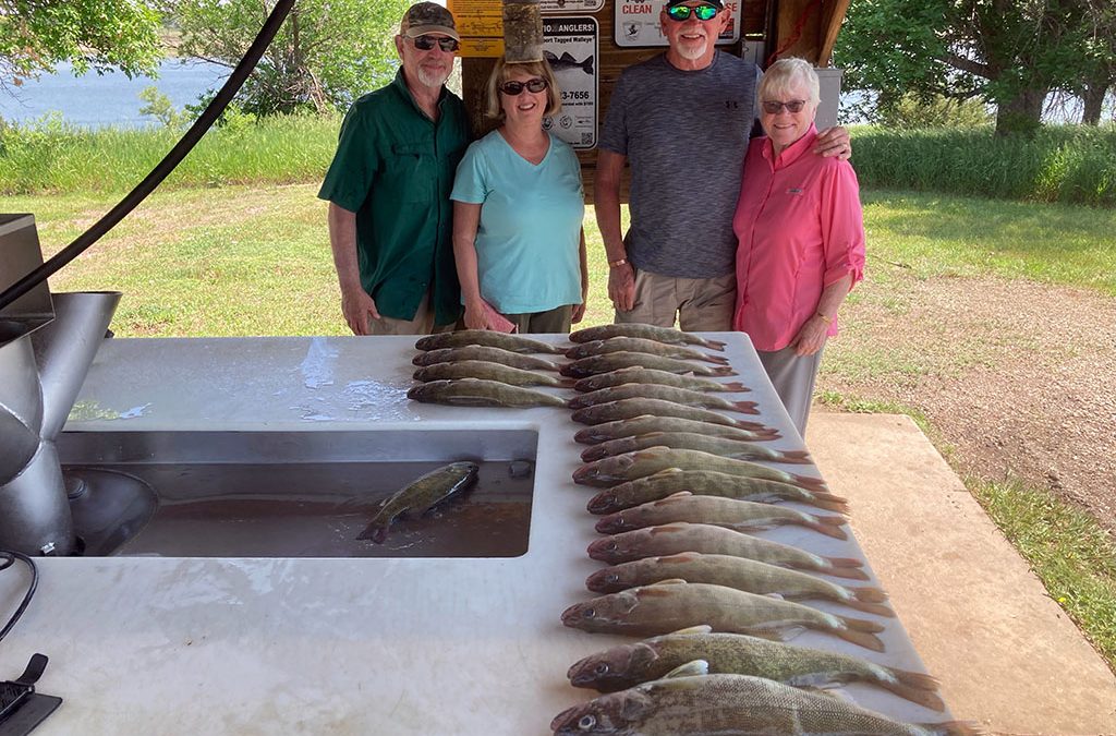 Signs of Improvement