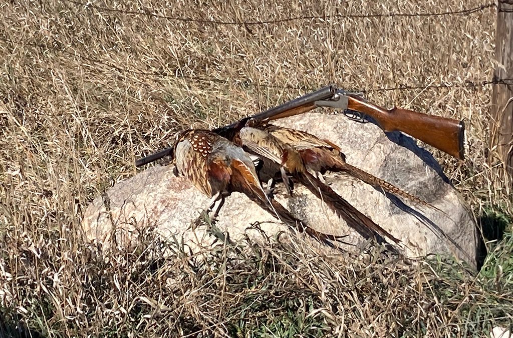 In memory of Tom McGrail