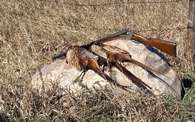 In memory of Tom McGrail