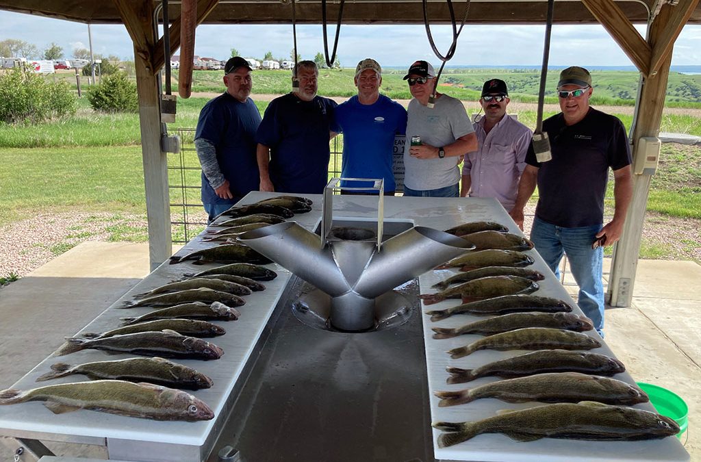 Here’s a few walleyes and smallmouth from Lake Oahe.