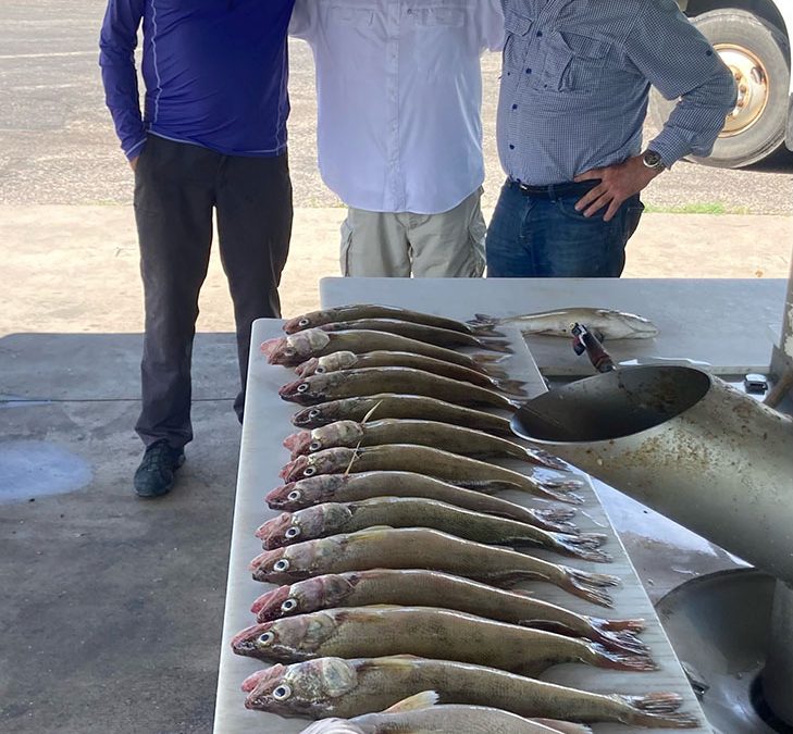 Cooling Off and Heating Up