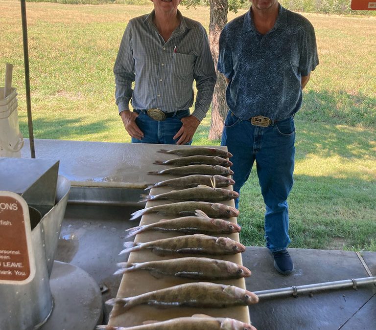 Lake Sharpe walleye south of Pierre