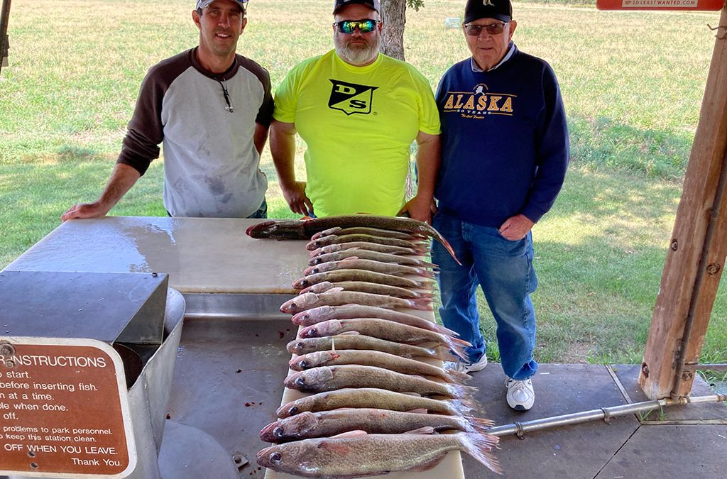 Christenson Dairyland Seed