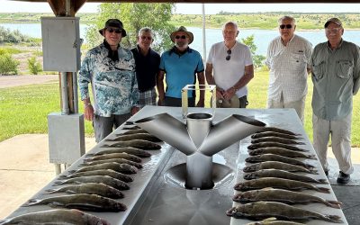 Game on for Walleye