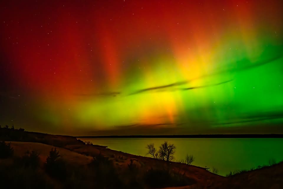 The rooster pheasant God was out last night.